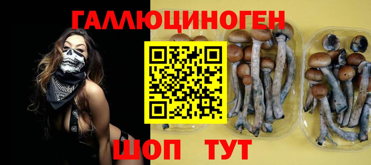 Галлюциногенные грибы ЛСД  Галлюциногенные грибы мицелий  Борзя  Вход с VPN 